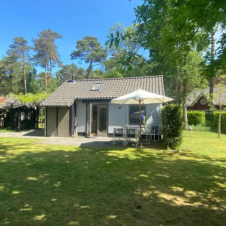 De Reebok Oisterwijk