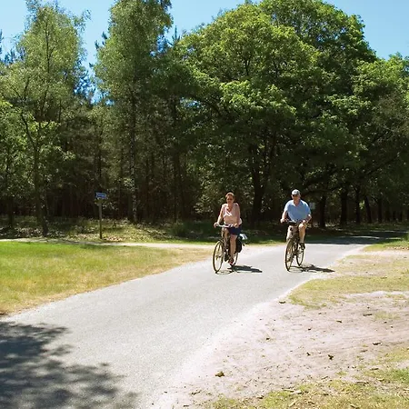 ホリデーパーク De Reebok *