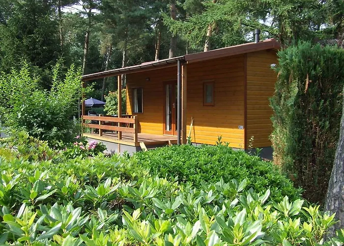 De Reebok * Oisterwijk