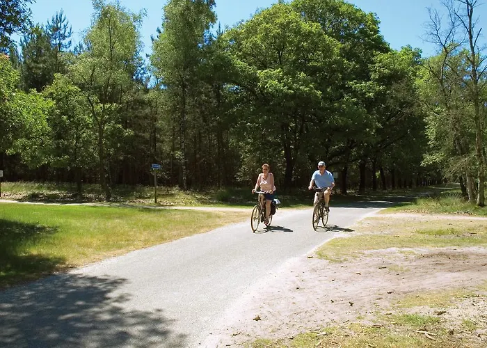 Holiday park De Reebok *