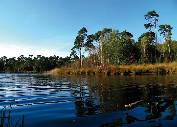 De Reebok Oisterwijk