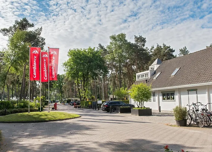 De Reebok * Oisterwijk