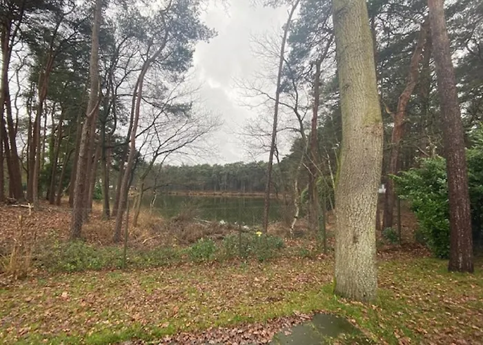 Holiday park De Reebok Oisterwijk