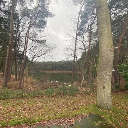 Feriepark De Reebok Oisterwijk